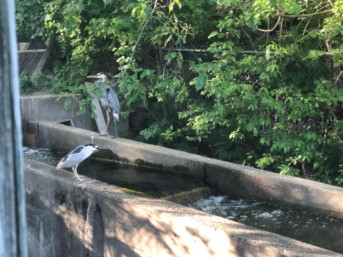 Herring Run 본 외부 사진