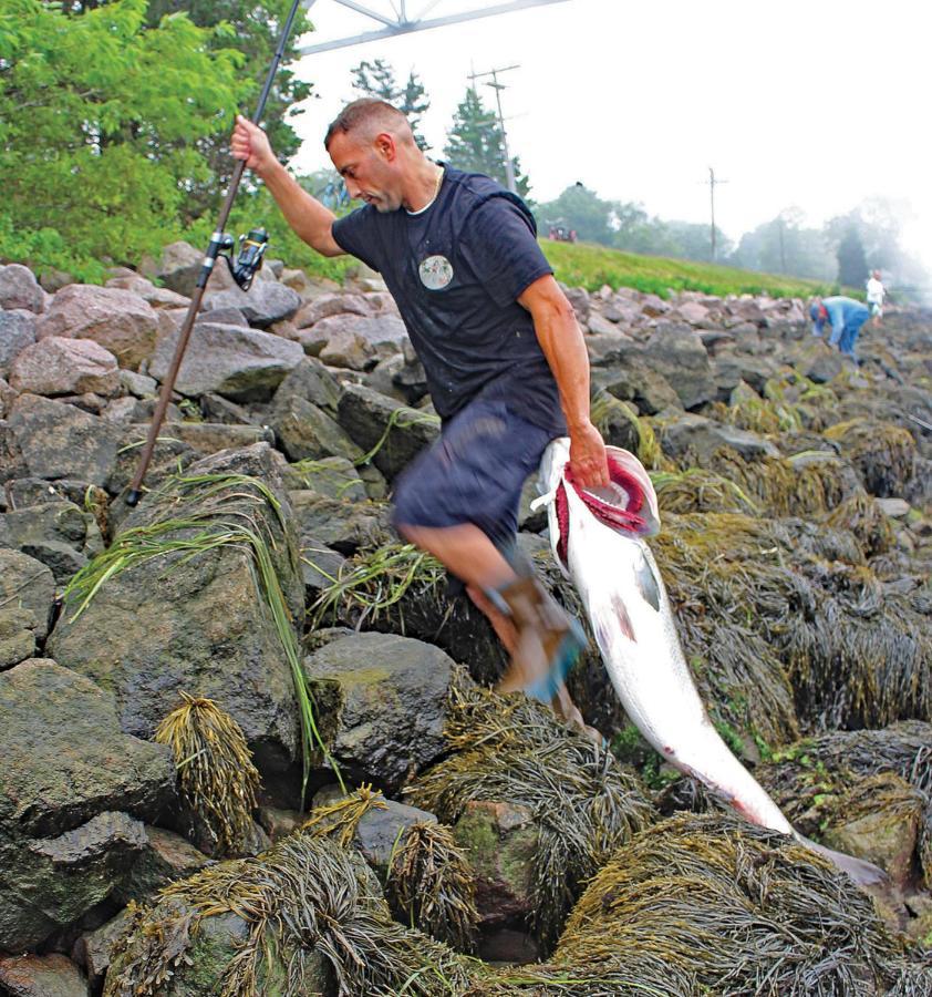 Herring Run 본 외부 사진