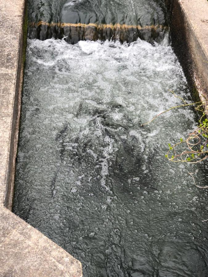 Herring Run 본 외부 사진